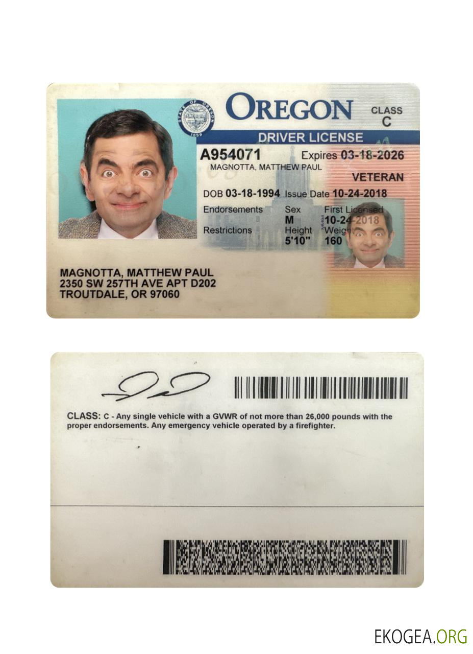 USA Oregon driving license 2018 present